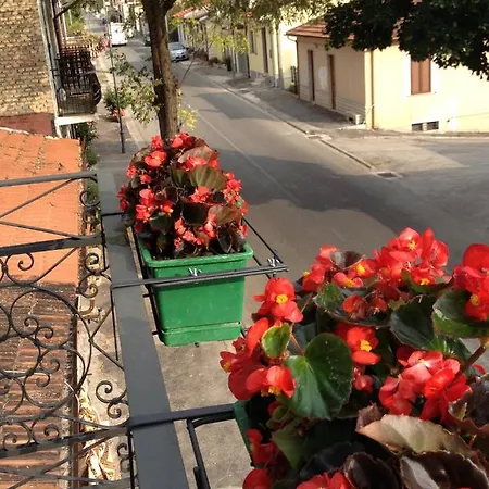 La Rosa Bed & Breakfast *